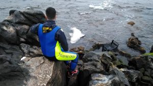 Carcassa di squalo ritrovata al confine tra Ercolano e Torre del Greco - Il Video